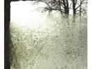 Bon Iver - For Emma, Forever Ago NEW LP