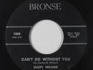 Northern Soul 45 - Dusty Wilson - Can't Do Without You - Bronse - mp3