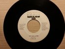 C.R.A.C. Of The Lites /Eleanor Rigby -1970s Upstate NY- Syracuse Band-Vinyl 45