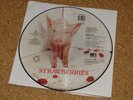 The Damned - Strawberries - LP Picture Disc (England) DOJO Records DOJOPD 46