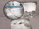Most Precious Blood nothing in vain LP PICDISC nyhc hardcore indecision Milhouse
