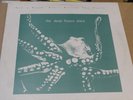 DEEP FREEZE MICE Saw A Ranch House Burning Last Night - Orig UK LP DIY Post Punk