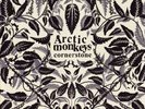 Arctic Monkeys Cornerstone 7