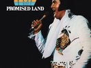 Elvis Presley PROMISED LAND Ltd. 180g HQ Gold Vinyl LP Friday Music FRM-0873