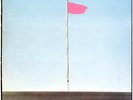 Wire - Pink Flag, red Vinyl LP ------ Punk, Clash, Sex Pistols