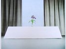 Wire - Chairs Missing, Vinyl LP ------ Punk, Sex Pistols, Clash