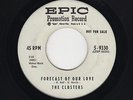 '59 White DooWop/Teen CLUSTERS Forecast Of Our Love/Long Legged Maggie DJ HEAR