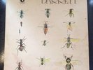 Syd Barrett  Barrett  Lp Original UK Harvest Label Pink Floyd