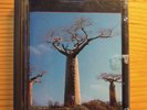 Pink Floyd Delicate Sound of Thunder  Disc 2 1988 Mini Disc RARE