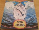 STEVE HILLAGE 