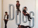 Dogs ?– Legendary Lovers - Epic ?– EPC 25716(FRA) - Vinyl - MINT/NM