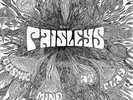 PAISLEY'S - COSMIC MIND AT PLAY NEW VINYL RECORD