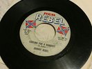 Johnny Rebel rare rockabilly hillbilly reb rebel 511 big Jim Federal aid 45 60s