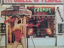 The Cramps - Smell of Female - Enigma US mini LP 12
