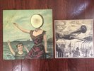 Neutral Milk Hotel In The Aeroplane Over The Sea Vinyl LP 1998 Original Pressing