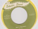 GLORIA TAYLOR--WHAT'S YOUR WORLD / HAD IT ALL THE TIME--SELECTOR SOUND