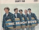 The Beach Boys 