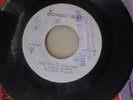 Winston Francis- Halfway to paradise/ New Establishment- Pocco Tempo- Listen
