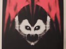 THIRD MAN RECORDS:VAULT 23: THE WHITE STRIPES: UNDER AMAZONIAN LIGHTS: TMR 302