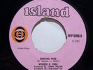 WYNDER K. FROG - dancing frog / green door 7
