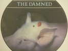The Damned Strawberries UK Picture Disc Vinyl LP Album 1986 DOJOPD46