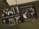 The Rollins Band 2LP lot/both play EX Turned On,Do It/Henry Rollins 1/4 Stick
