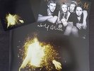 WOLF ALICE 'MY LOVE IS COOL'  USA GOLD VINYL LP LTD TO 500 COPIES