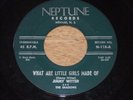 JIMMY WITTER & The Shadows 45, What Are Little Girls Made of / My Kind of Woman