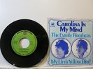 The Everly Brothers - Carolina in my Mind 7