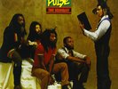 True Democracy Steel Pulse LP Record Rhino Records USA 140 Gram Reissue