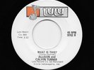 Allison & Calvin Turner - What Is This / It's Over Between Us (Soul, 45)