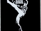 David Bowie The Man Who Sold The World 1983 Reissue MINT Vinyl LP RCA INTS 5237