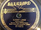 Bluebird 7500  Sonny Boy Williamson w Big Joe Williams & Yank R  V+ 1937 Delta