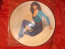 KATE BUSH   LP  THE KICK INSIDE   2 SIDES PICTURE DISC  BEAUTY COVER  RAR