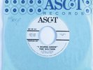 Northern Soul/Doo Wop 45 SULTANS I Wanna Know ASCOT promo HEAR