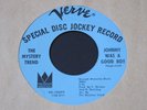Mystery Trend   Johnny Was a Good Boy   Verve promo San Francisco garage 45 HEAR