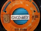 ? LATIN 45 LLEGO LA BANDA ?LOS CAÑEROS de NICARAGUA? SALSA GUAGUANCO SABOR