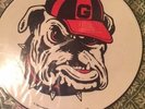 GEORGIA BULLDOGS Bulldawg Boogie Vinyl LP   Sage & Larry Munson  RARE  UGA 