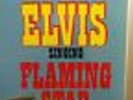 ELVIS PRESLEY , SINGER PRESENTS FLAMING STAR