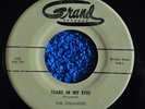 +++RARE ORIGINAL+++ 45RPM THE DREAMERS- TEARS IN MY EYES / 535