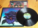THIN LIZZY - BLACK ROSE - 1979 UK LP - 1E  1E - INNER - 9102 032 - NR MINT / EX