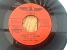 Northern Soul Sweet Darlin Jimmey Soul Clark U.S. Soulhawk 1967
