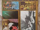 SONIC YOUTH - SISTER *rare* first uk press blast first 1987 alternative punk
