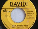 LEILA DUCHESNE - WHAT THEY'RE DOIN DOWN JAMAICA WAY - DAVID  ( RARE FUNK 7 )