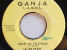 LLOYD PARKS - SHAKE UP YU DREAD - GANJA ( RARE ROOTS 7 )