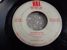 266...SOUL 45...E. G. TAYLOR & THE SOUNDS OF SOUL...YOU MADE ME MAD...VAL 1025