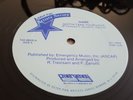 ??? 12” GAME GOTTA TAKE YOUR LOVE PETER PAN ITALO MODERN SOUL DISCO BOOGIE