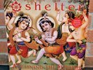 SHELTER - Attaining the Supreme, Limited WHITE VINYL LP NEW