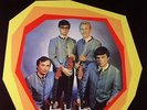 TRASHMEN, The - Surfin' Bird - Vinyl (7