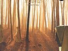 Anekdoten - A Time Of Day LP (Brown vinyl limited edition of 500)